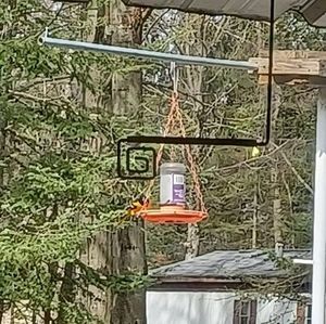 Meet your Posher, Gloria